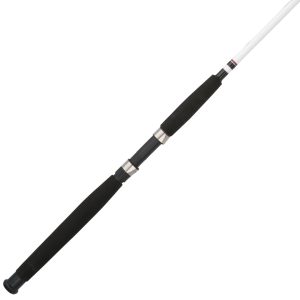 Big Game™ Spinning Rod